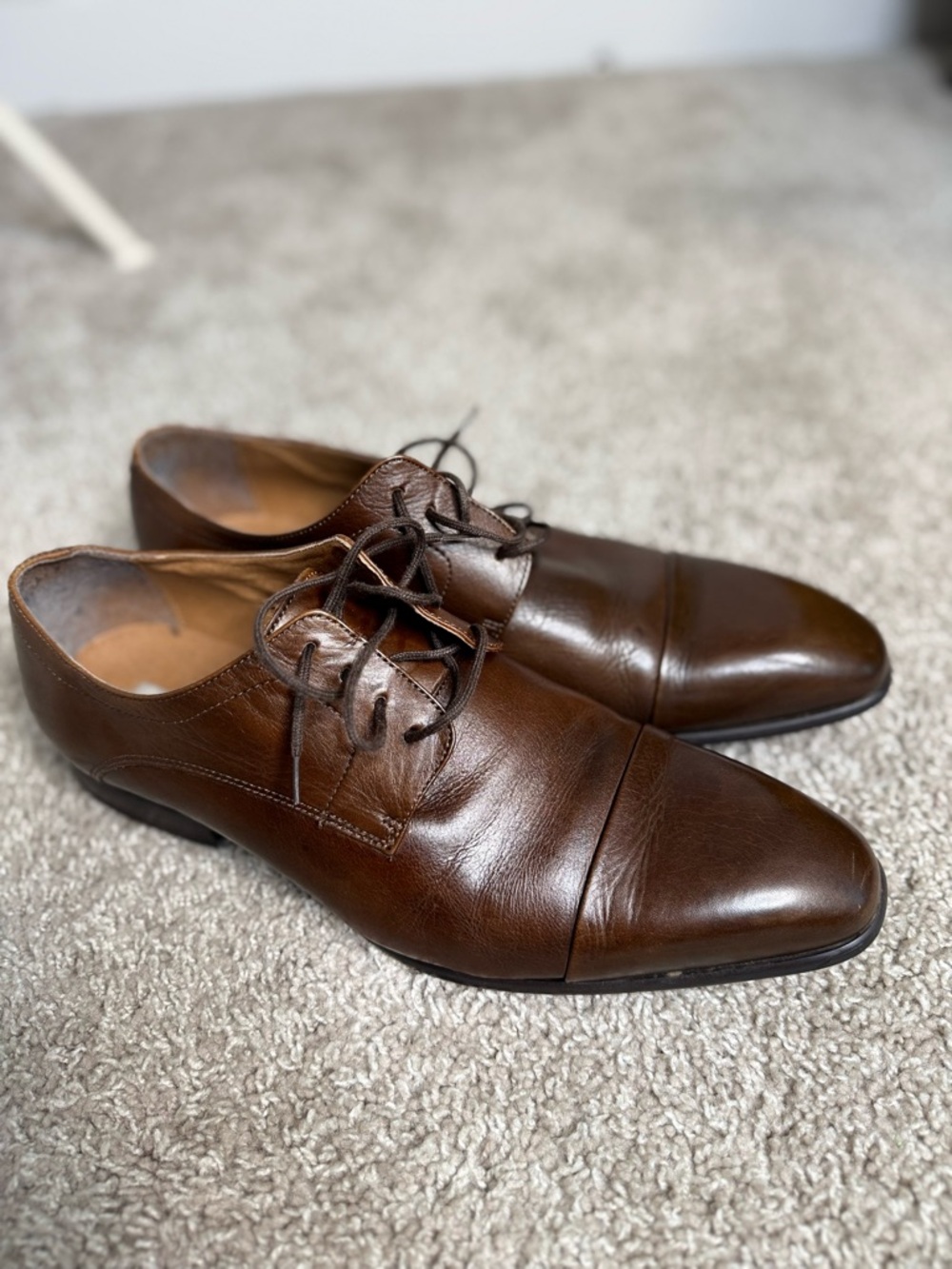 Steve Madden Brown Leather Cap-Toe Derby Dress Shoes
